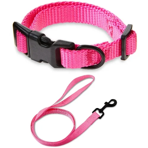 Solid Polyester Adjustable Dog Collar, with 4ft Dog Leash, Pink, Extra Small