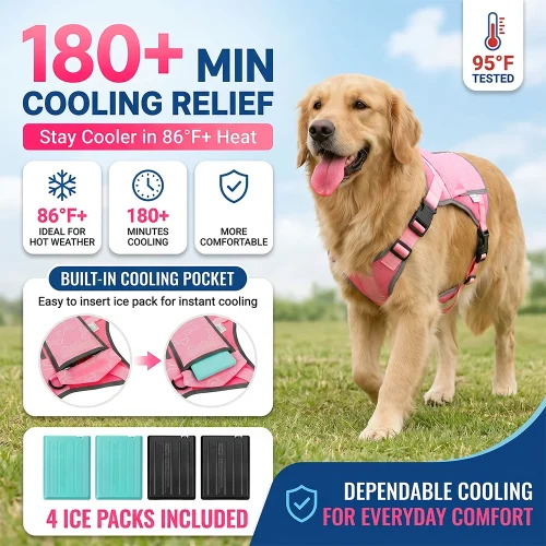Cooling Vest Pet Cool During Walks Or At Home Features Replaceable Cooling Pack For Alaskan Malamutes, Golden, Border Outdoors