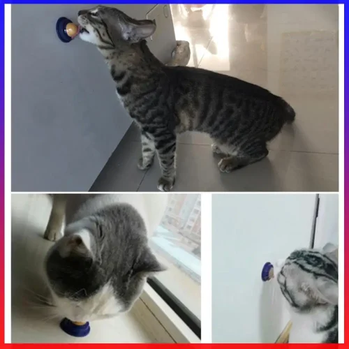 Healthy Cat Snacks Licking Solid Natural Catnip Long Strong Transparent Cover Fish Glue Convenient Portable Pet Cat Products