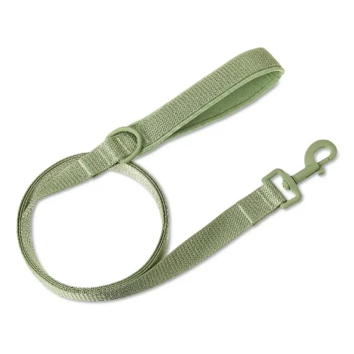 Neoprene Cushioned Dog Leash, Sage Green, 6 ft, M/L