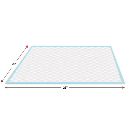6-Layer Dog Training Pads, 10 Count